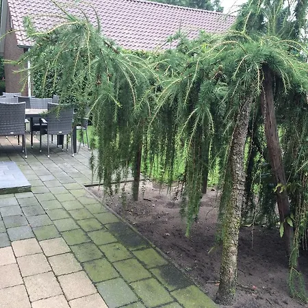 Bed & Breakfast Vakantieboerderij De Pionier